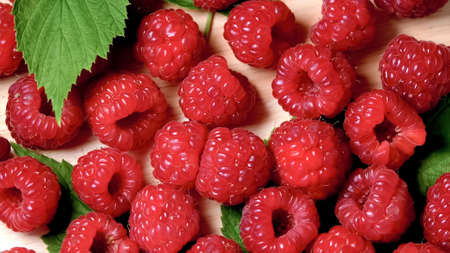 Close up of ripe red raspberries