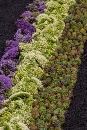 Abstract multicolor designs made of flowers, stones or sand composition, during religious ceremony...