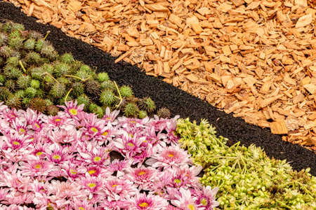 Abstract multicolor designs made of flowers, stones or sand composition, during religious ceremony in Spain. Text spaceの写真素材