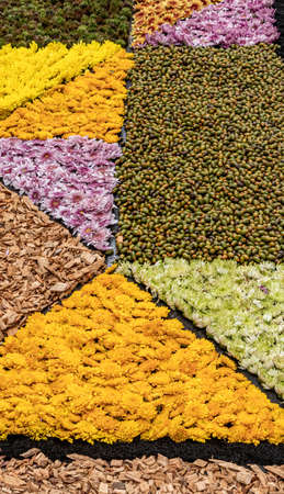 Abstract multicolor designs made of flowers, stones or sand composition, during religious ceremony...