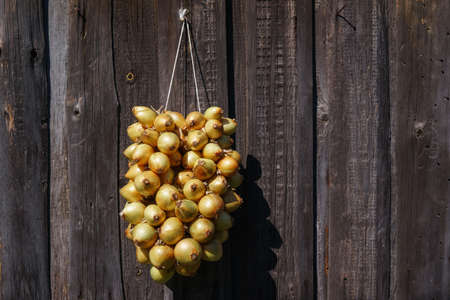 Onion weaved into a garland are hanging from the wooden wallの写真素材