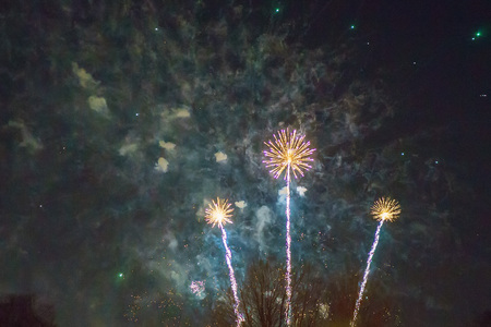 Fireworks light dandelions