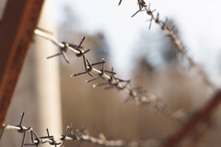 line barbed wire. focus with shallow depth of field. close-upの写真素材