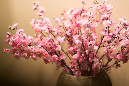 pink flowers in big a vase near wall.の写真素材