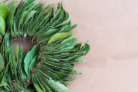Dry green laurel leaves ready for cooking. branch of laurel bay leaves on a paperの写真素材