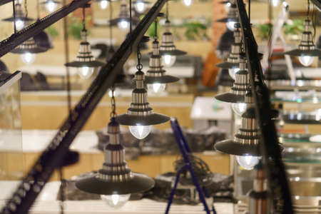 a lot of light bulbs. top viewの写真素材