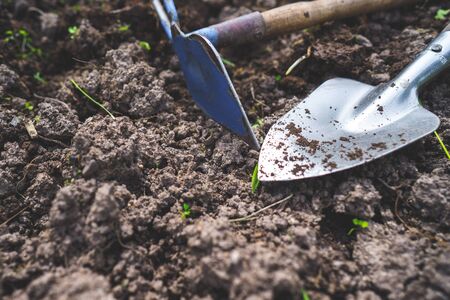 Scapula and rake on the background of fertile soil. Place for the text. The concept of agriculture....