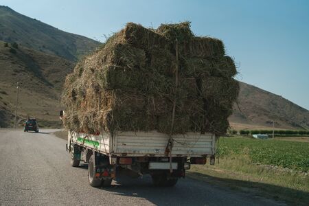 Collecting hay for the cattle. Hay harvesting for winter. Autumn mowing grass.の写真素材