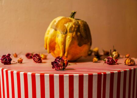 Decorative pumpkin on a striped box, dried rosesの写真素材