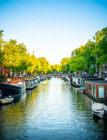 Beautiful sunset over Amsterdam city landscape, The Netherlands, with flowers and river on the bridge in summer. Nature house boat architectureの写真素材