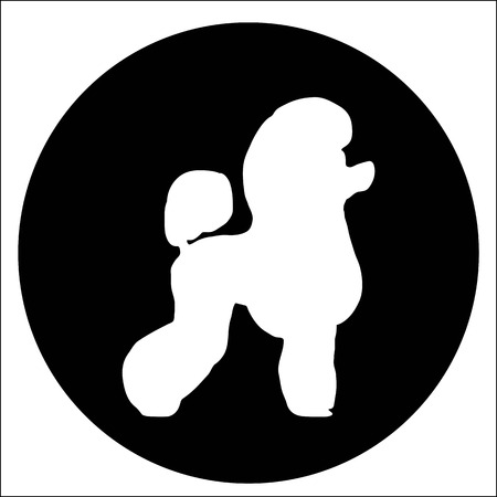 dog breed poodle on black and white squares and cells . it seems like chess board.のイラスト素材