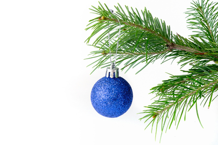 Isolated tree toy ball on pine branchの写真素材