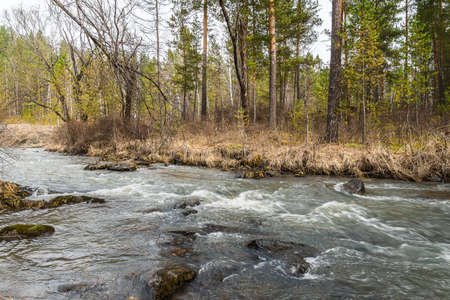 Sayan taiga. Stream Uy, a tributary of the Yenisei. Khakassia. Siberia.の写真素材