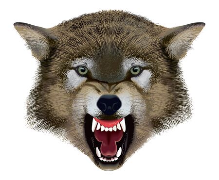 Wolf head