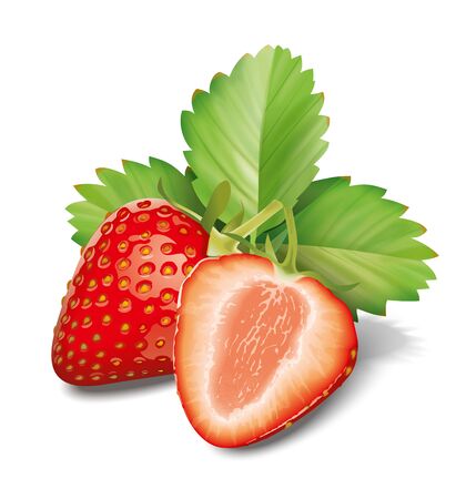 strawberryの写真素材