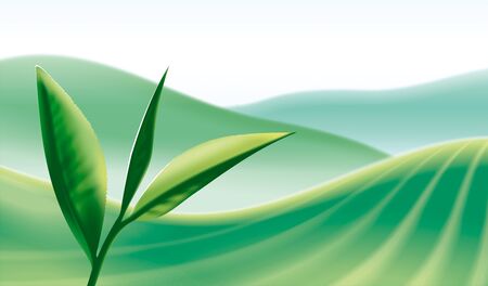 tea leaves illustrationの写真素材