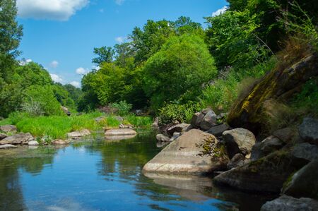 The river goes into the green forest under the blue sky.