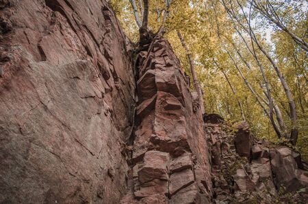 The part of rock in the yellow forest. Landscape of trees grass and moss.の写真素材