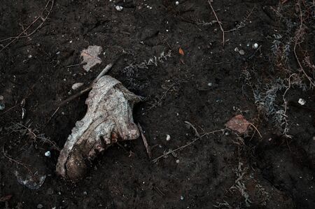 Old dirty boot on black ground.
