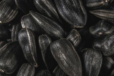 Black sunflower seeds in  macro. Food photo with shell texture closeup.