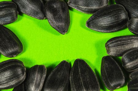 Black sunflower seeds in  macro isolated on green background. Food photo with texture closeup.の写真素材