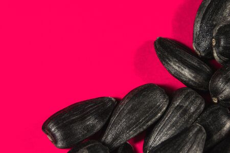 Black sunflower seeds in  macro isolated on pink background. Food photo with texture closeup.