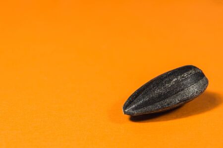 Black sunflower seeds in  macro isolated on orange background. Food photo with texture closeup.の写真素材
