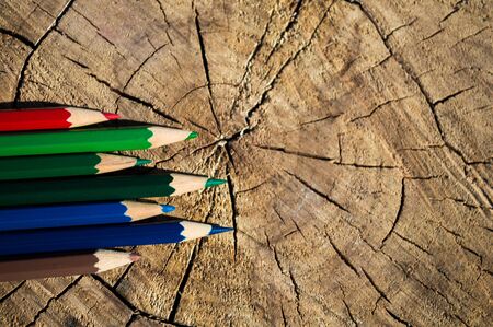 Pencils of different colors on a stump. Pencils closeup with bokeh. Photo with copyspace like postcardの写真素材