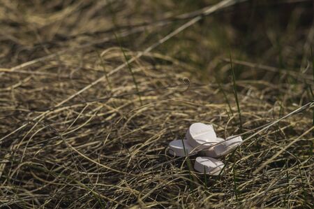 White pills in the dry grass. Pills or tablets with dandelions closeup with bokeh.