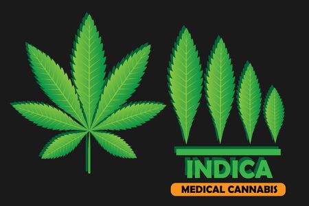 Green leaf of Cannabis Indica. Vector illustration of medical marijuana. Simple form, for graphic design of logo, emblem, sign, badge, label, isolated on orange background.のイラスト素材
