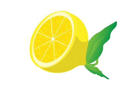 Vector illustration of lemon slice isolated on white background. Piece of citrus fruitの写真素材