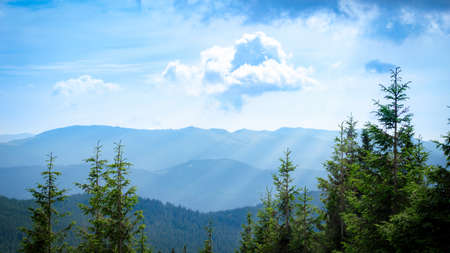 Carpathian Mountains. Panorama of green hills in summer mountains. Hazy green mountain forest under blue sky.の写真素材