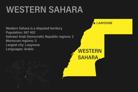 Highly detailed Western Sahara map with flag, capital and small map of the world. Highly detailed map with borders, countries.のイラスト素材