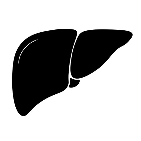 Liver icon in trendy flat style. Symbol for your web site designのイラスト素材