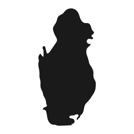 Highly detailed Qatar map with borders isolated on background. flat styleのイラスト素材