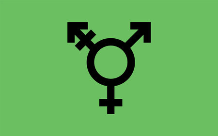 Israeli transgender pride flag Sexual identity pride flag. Simple illustration for pride monthのイラスト素材