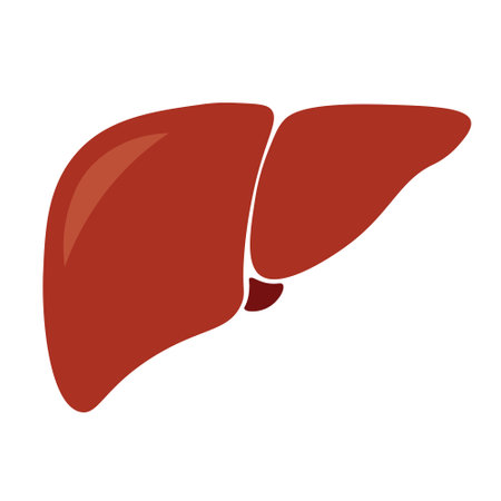 Liver icon in trendy flat style. Symbol for your web site design, , app, UI. simple illustrationのイラスト素材