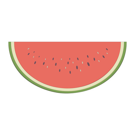 Red fresh watermelon with seeds. Summer red fruit illustrationのイラスト素材