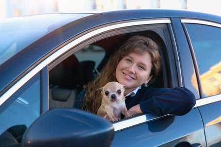 Portrait of happy positive girl, young woman driver is sitting in her car, new automobile, enjoying driving, having fun, laugh. Joyful lady in auto looking at camera with her chihuahua dog cute puppyの写真素材