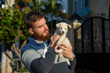 cute cheerful young girl with white puppy in her arms, small dog walk on the street in summer dayの写真素材