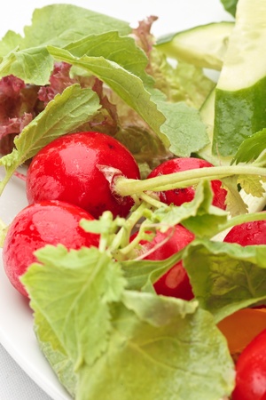 Close-up of colorful fresh vegetables assorted on a white backgroundの写真素材