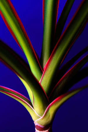 abstract colorful backgroundの写真素材