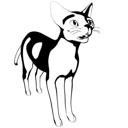 Cat sketch on a white background. Sphynx silhouette vector, pet illustrationのイラスト素材