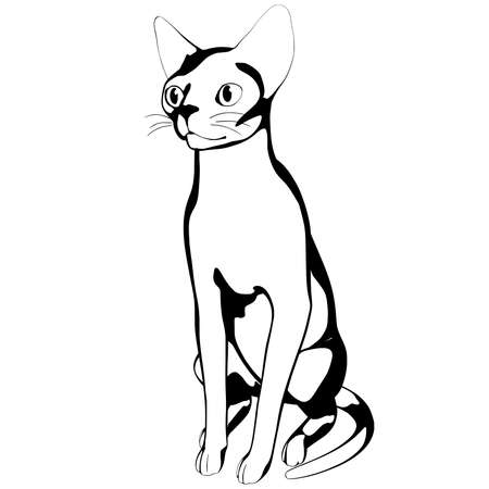 Cat sketch on a white background. Sphynx silhouette vector, pet illustrationのイラスト素材