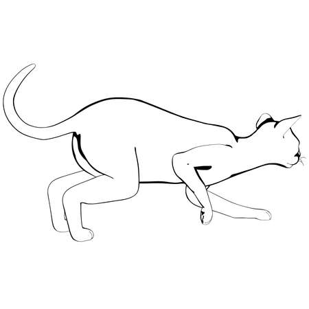 Cat sketch on a white background. Sphynx silhouette vector, pet illustrationのイラスト素材
