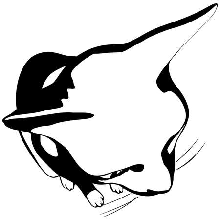 Cat sketch on a white background. Sphynx silhouette vector, pet illustrationのイラスト素材