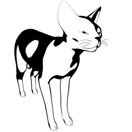 Cat sketch on a white background. Sphynx silhouette vector, pet illustrationのイラスト素材
