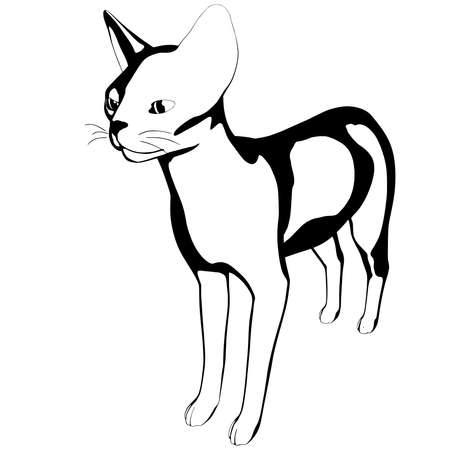 Cat sketch on a white background. Sphynx silhouette vector, pet illustrationのイラスト素材