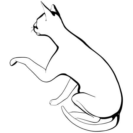 Cat sketch on a white background. Sphynx silhouette vector, pet illustrationのイラスト素材