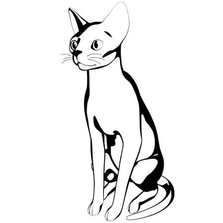 Cat sketch on a white background. Sphynx silhouette vector, pet illustrationのイラスト素材